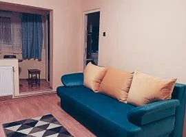 Apartament cu o cameră