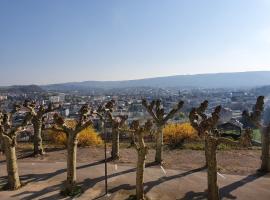 Appartement vue panoramique, sur les hauteurs de Lons，位于隆勒索涅的酒店