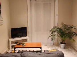 Charmant Appartement au Cœur de Fougères