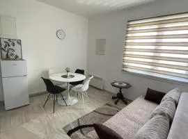 Apartman Gakić 1