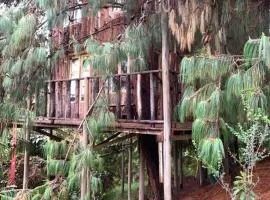 Cabin at Blueberry Farm