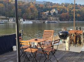 Appartement dans Péniche atypique et idyllique à Confluence，位于里昂汇流船坞附近的酒店