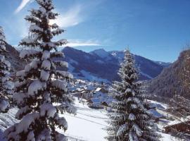 Studio centre Châtel avec coin montagne，位于沙泰勒的酒店