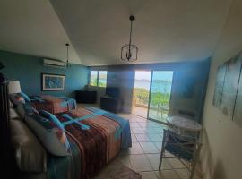 ELIMAR BAY VIEW APT with INFINITY POOL AVAILABLE，位于库莱布拉的酒店