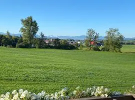 Gemütliche Wohnung mit Ofen und Naturblick