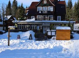 耶利内克酒店，位于什平德莱鲁夫姆林的酒店