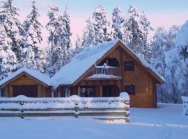 Norwegian Log Cabin The Roe Deer -sauna & hot tub，位于基斯的酒店