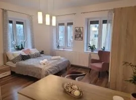 Rosé Apartment