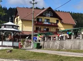 Edelweis Floare de Colt