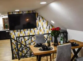 Apartament Orły air conditioning