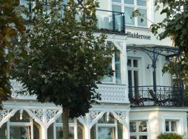 Villa Haiderose，位于宾茨的无障碍酒店
