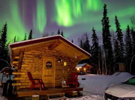 1 Bd Deluxe Log Cabin View Northern Lights，位于费尔班克斯的酒店