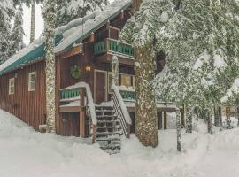 Moosewood Cabin - Meredith Lodging，位于加文门特营的酒店
