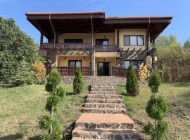 Pensiunea Sasha，位于Bîrnova的酒店