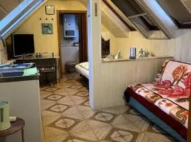 Cozy Ferienapartment in Golßen nahe Tropical Island