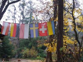 Olchowy Młyn，位于Międzychód的酒店