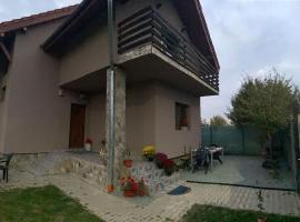 Vila primitoare in apropiere de aeroport，位于Ghiroda的酒店