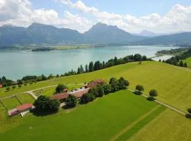 Salenberghof Ferienwohnung Panorama