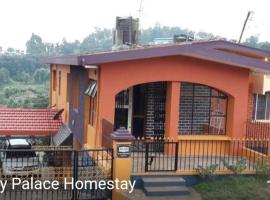 Honey Palace Homestay，位于马迪凯里的酒店