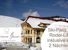 Grüner Baum Naturparkhotel & Schwarzwald-Restaurant，位于托特瑙的酒店