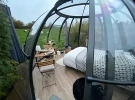 Home Sweet Dôme in Bouillon