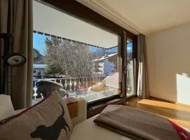 Cozy apartment during WEF Davos 2025