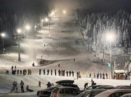 Ravna Planina，位于帕莱的酒店