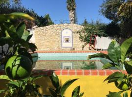 Lovely quinta in nature with pool - Tomar，位于Pero Calvo的别墅