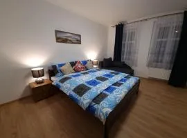 Apartmán v Krušných horách-free parking