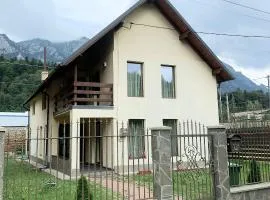 Casa Aly cartier Piatra Arsa Busteni