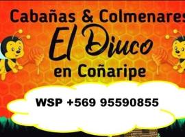 Cabañas El Diuco en Coñaripe 4，位于柯纳里佩的酒店