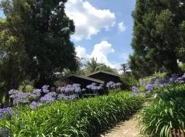 Lindo e aconchegante chalé com piscina, lareira e churrasqueira