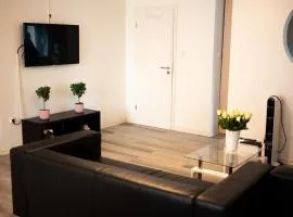 Loft Riva