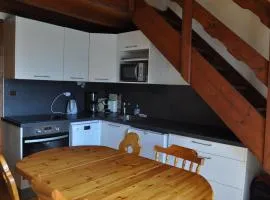 Bel appartement près des télésièges avec balcon et WiFi à Châtel - FR-1-693-49