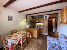 Studio équipé à Châtel, proche télésièges, parking inclus, Sud/Ouest - FR-1-693-57