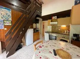 Appartement calme 2 pièces avec parking, proche Portes du Soleil - FR-1-692-38