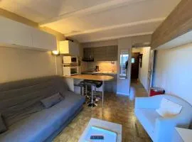 Studio confortable proche remontées mécaniques, parking privatif - Multi Pass inclus - FR-1-693-88
