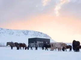 Akurgerði Guesthouse 4 - Country Life Style
