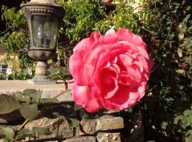 柳卡迪亚海滩旅馆