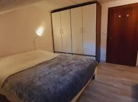 Ampia Mansarda a Dimaro in Val di Sole