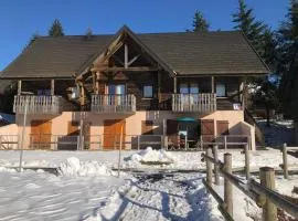 Le chalet de "Lamarmotte" T3 rénové avec terrasse sud en rez de jardin