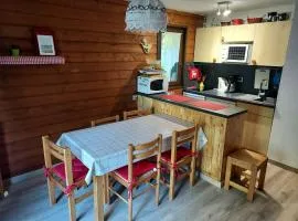 Appartement duplex à Châtel - 3 pièces, 6 personnes, parking couvert, proche télésiège et navettes - FR-1-198-104