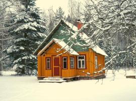 Nedsaja metsamaja ja saun，位于Nedsaja的酒店