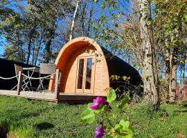28 Premium Camping Pod，位于Silberstedt的小屋