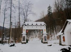 Voevodyno Resort，位于Tur'ya Pasika的度假村