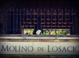 El Molino de Losacio，位于Losacio de Alba的乡间豪华旅馆