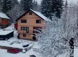 Apartman Miron Pale