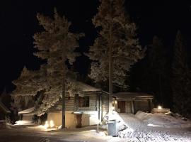 Riihilinna Ski Lodge，位于Muurame的木屋