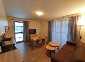 Apartmán Praděd v Říčkách - Říčky v Orlických horách，位于日茄基的酒店
