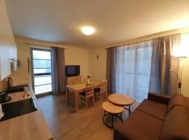 Apartmán Praděd v Říčkách - Říčky v Orlických horách